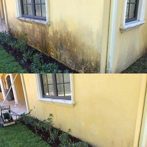 before and after house wash