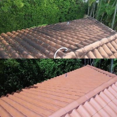 before and after roof wash