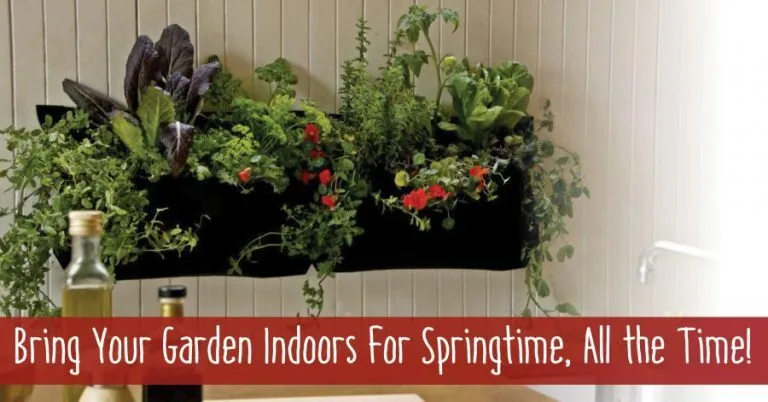 Garden, overlaid with text that reads Bring your garden indoor for spring time, all the time