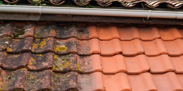 Split image of roof tile before and after professional roof cleaning.