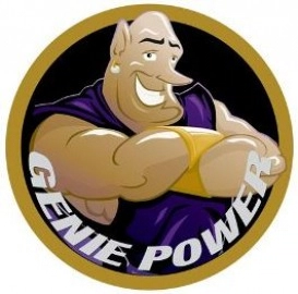 window genie power logo