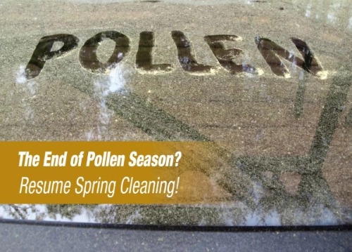 Pollen, overlaid with text that reads End of pollen season? Resume spring cleaning!