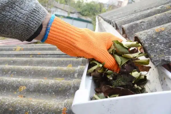 Pulling leaves from gutter