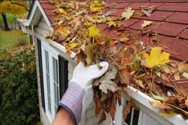 A person engaged in gutter cleaning.