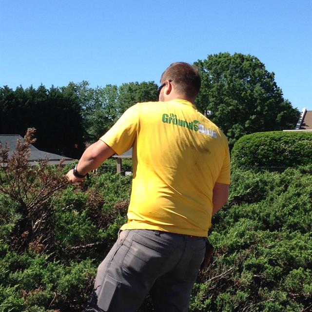 A Person Cutting Grass
