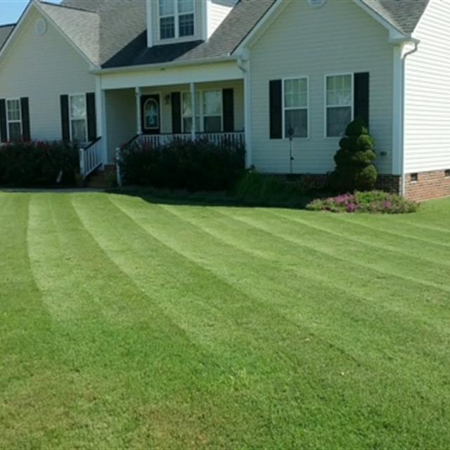 A front lawn in front of a White House.