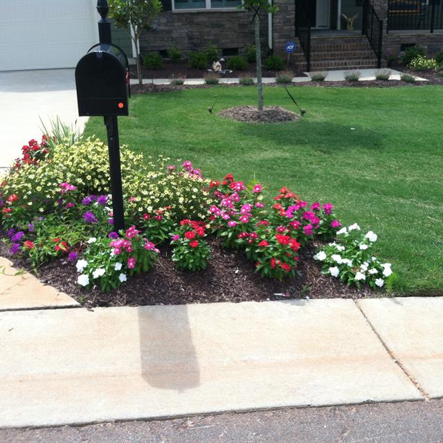 A front view of garden with flowerbed and mailbox