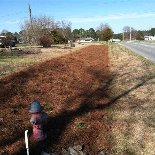 A garden on a roadside