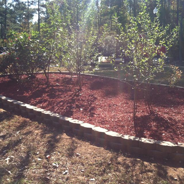 A new garden with trees planted with stone border.