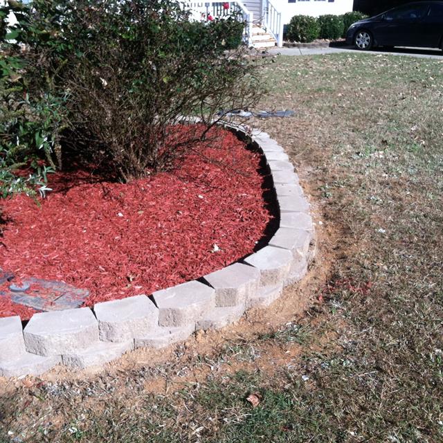A plant on a garden in a front lawn.