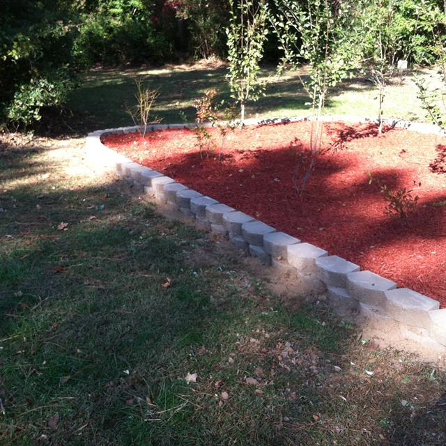 A side view of a garden with plants planted