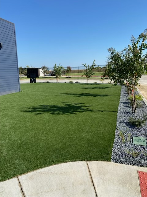Artificial Turf in Prosper