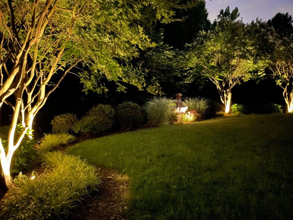 Gorgeous backyard landscape lighting that ebbs and flows with the bordering landscape design and highlights in all the right places.