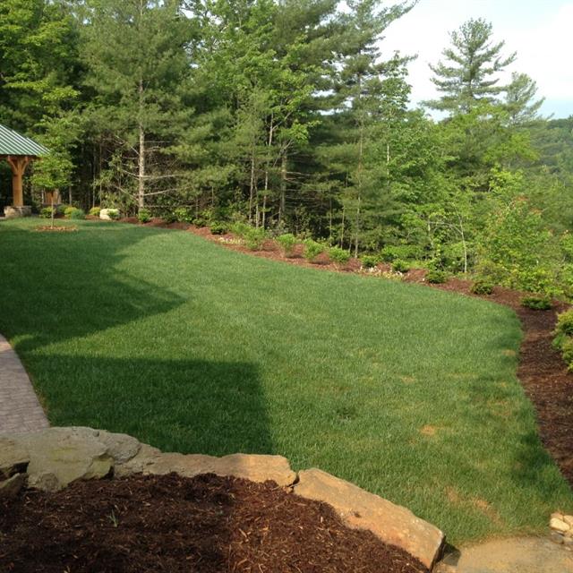 Beautifully designed lawn