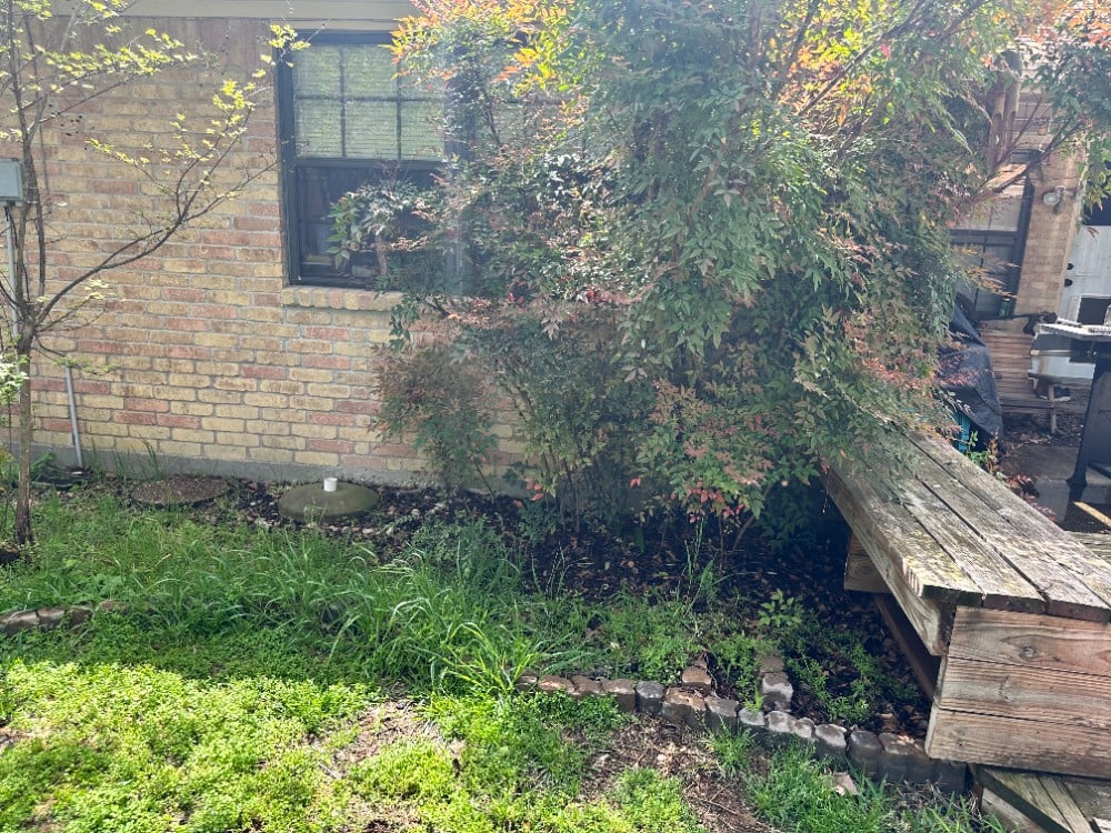 Bed Cleanup - Before