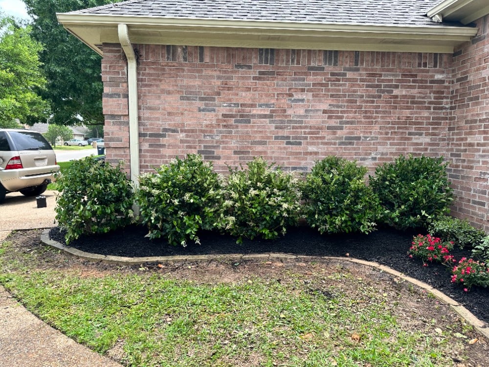 Bed Cleanup #2- After