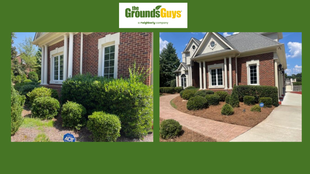 Before and After -  clean up