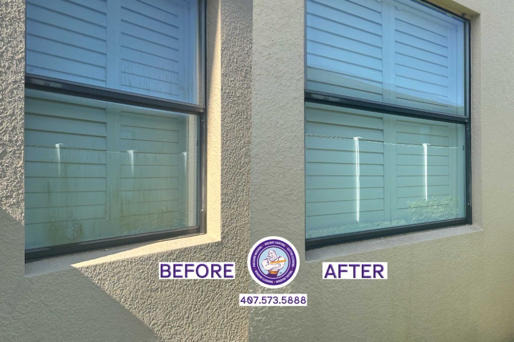 before and after images that show organic growth on a window and then showing the window clean