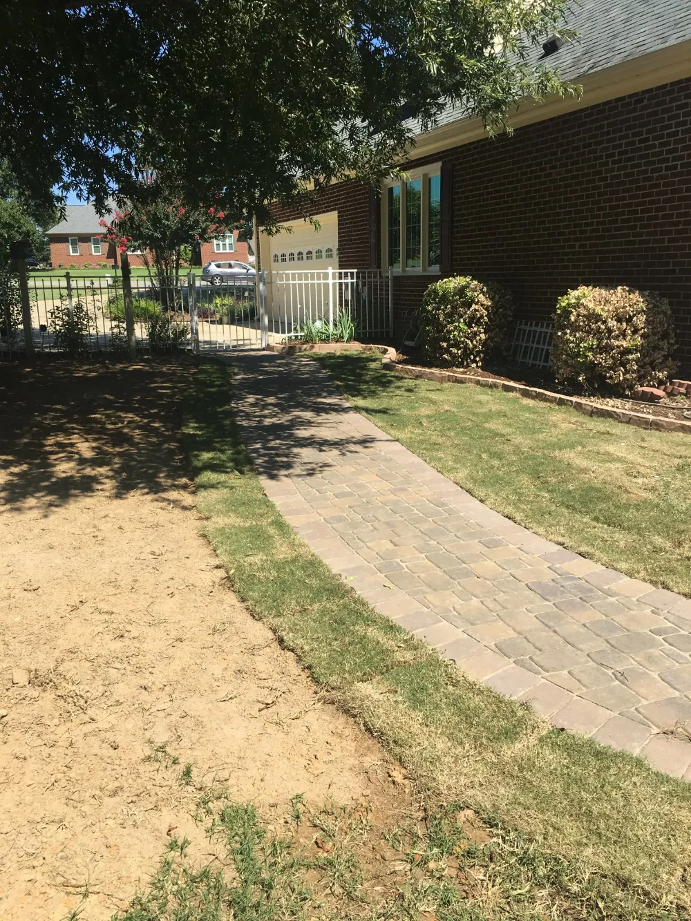 Brick path by home shaded by large tree