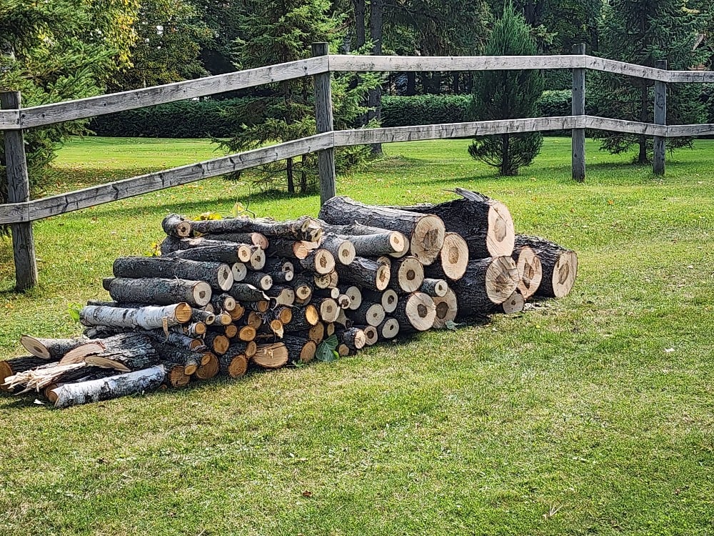 Chainsaw work getting ready for splitting.