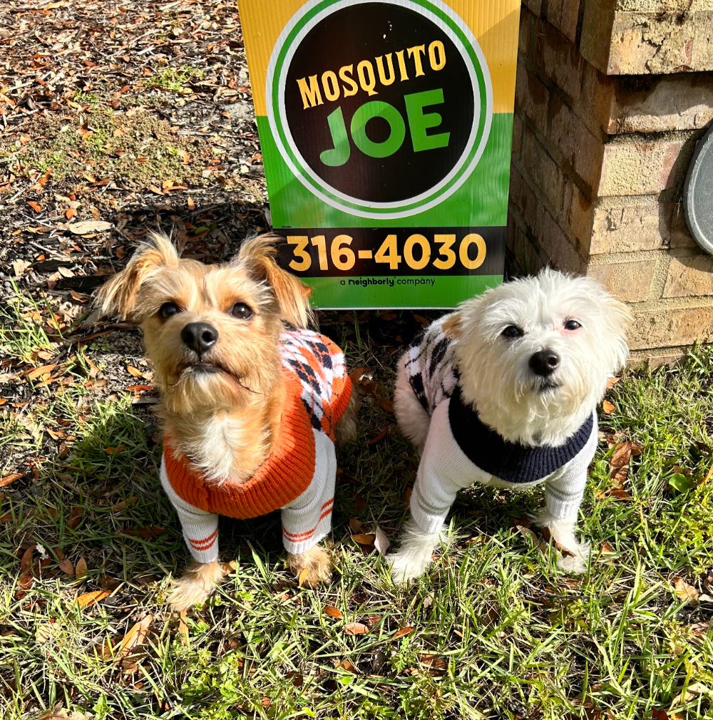 Mosquito Joe of NW Florida's rescue dog mascots