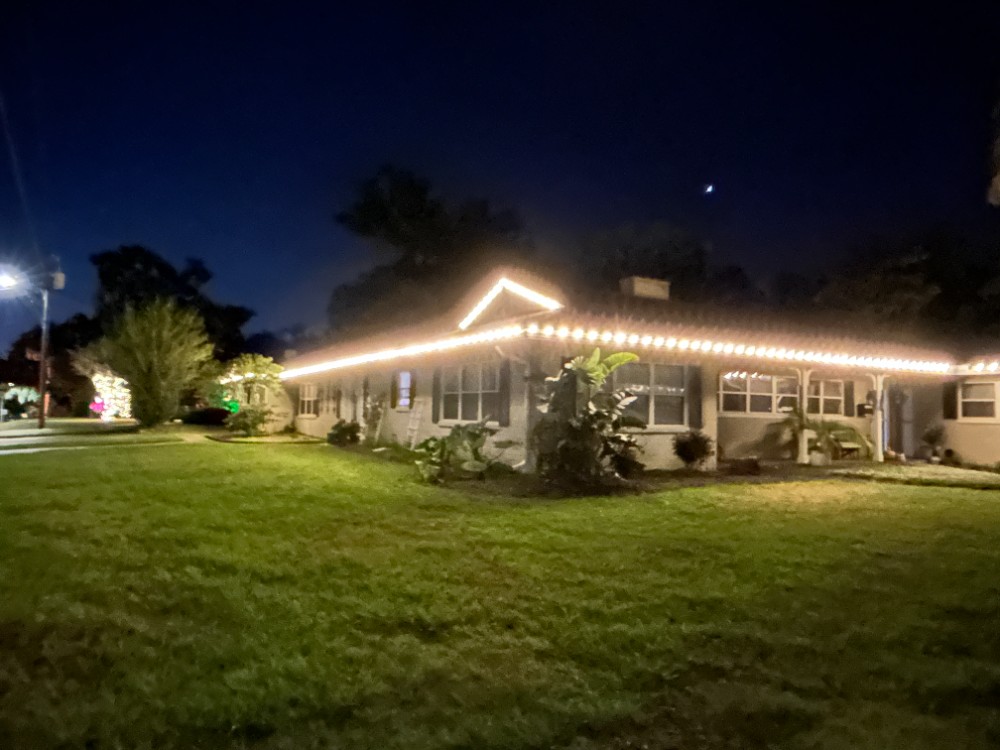 Christmas Light Installation