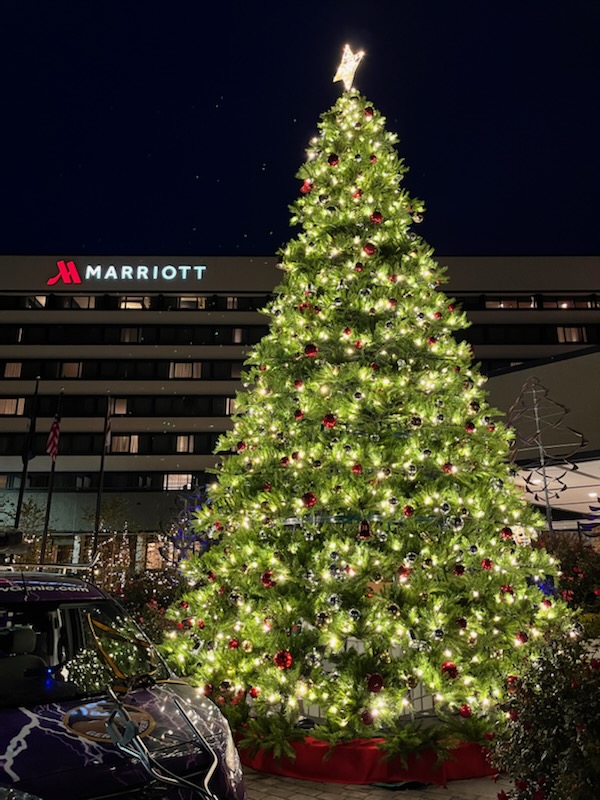 Commercial Holiday Lighting