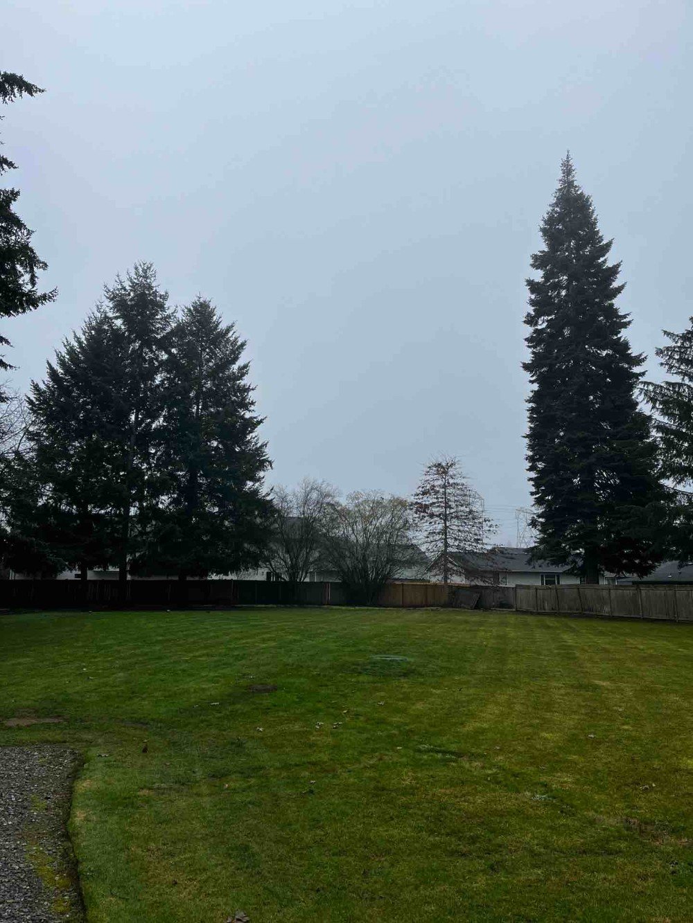 Commercial lawn maintenance