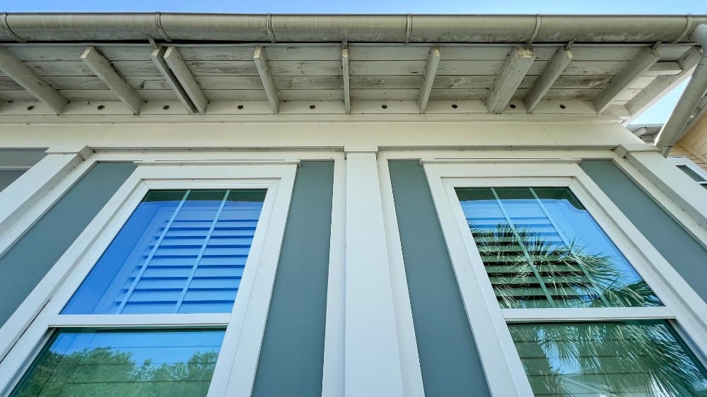 eaves dirty with mildew, mold, and dead midges.