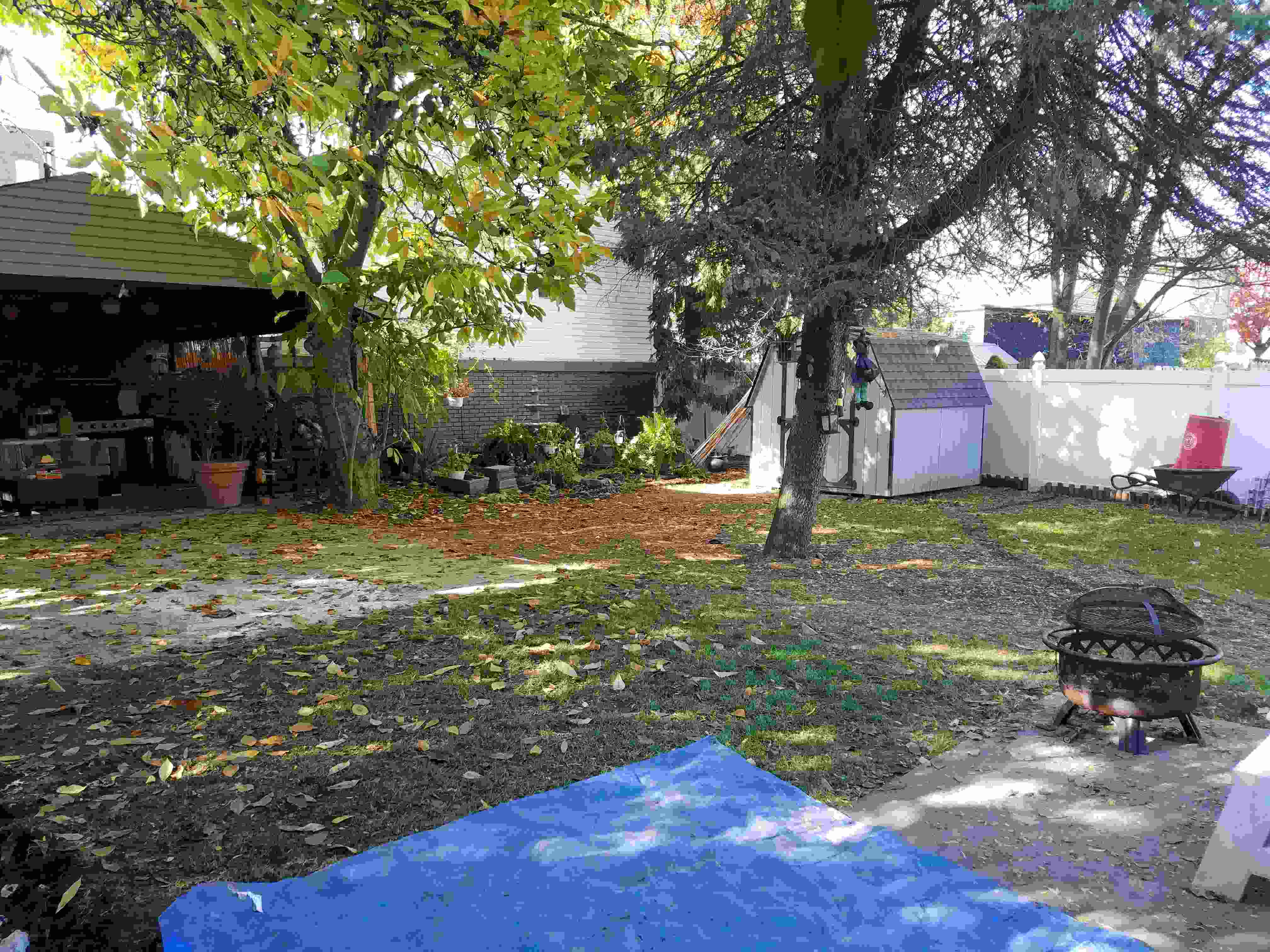 Disheveled back yard