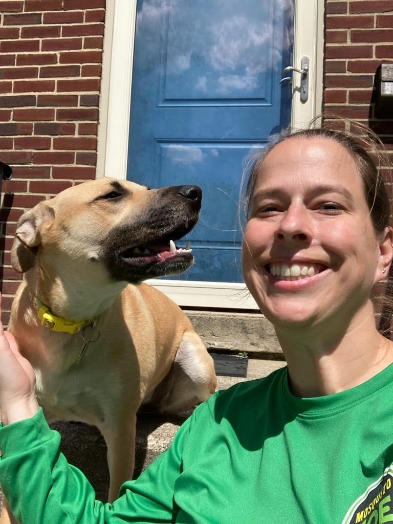 Dog Days of Summer - Mosquito Joe of Bethlehem