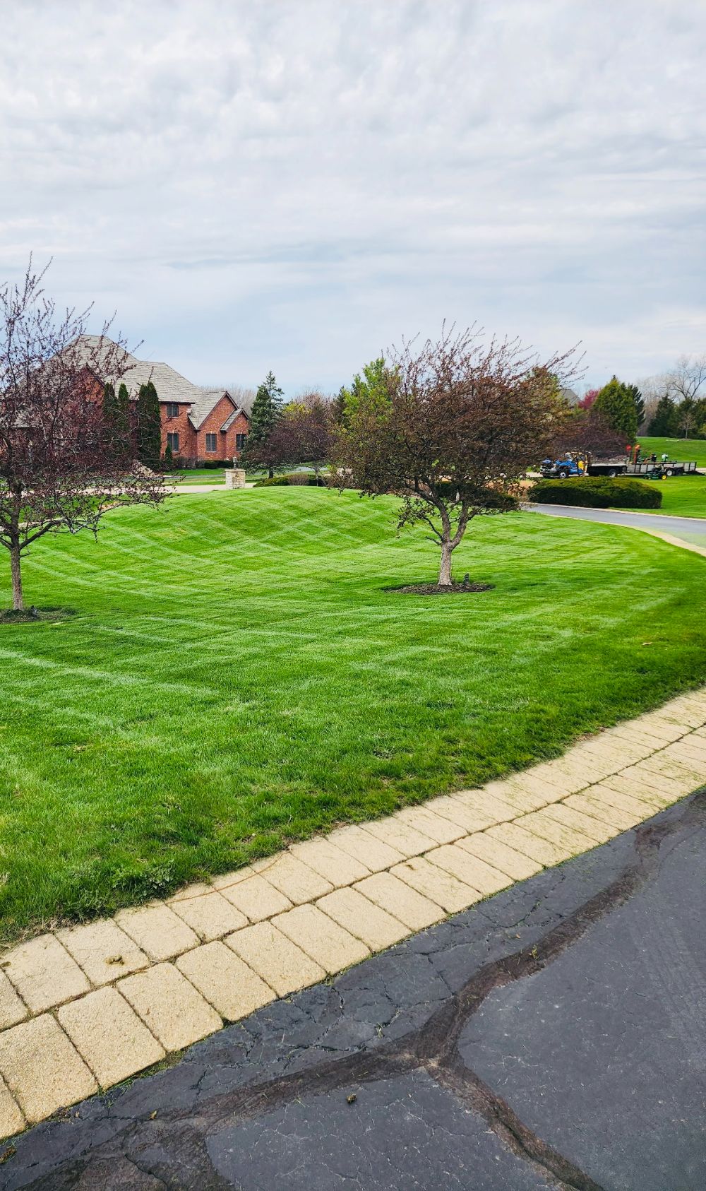 Crosshatched mowing pattern on a residential front lawn in Libertyville, IL with ornamental trees and defined edging, maintained by a professional lawn care service in McHenry and surrounding areas