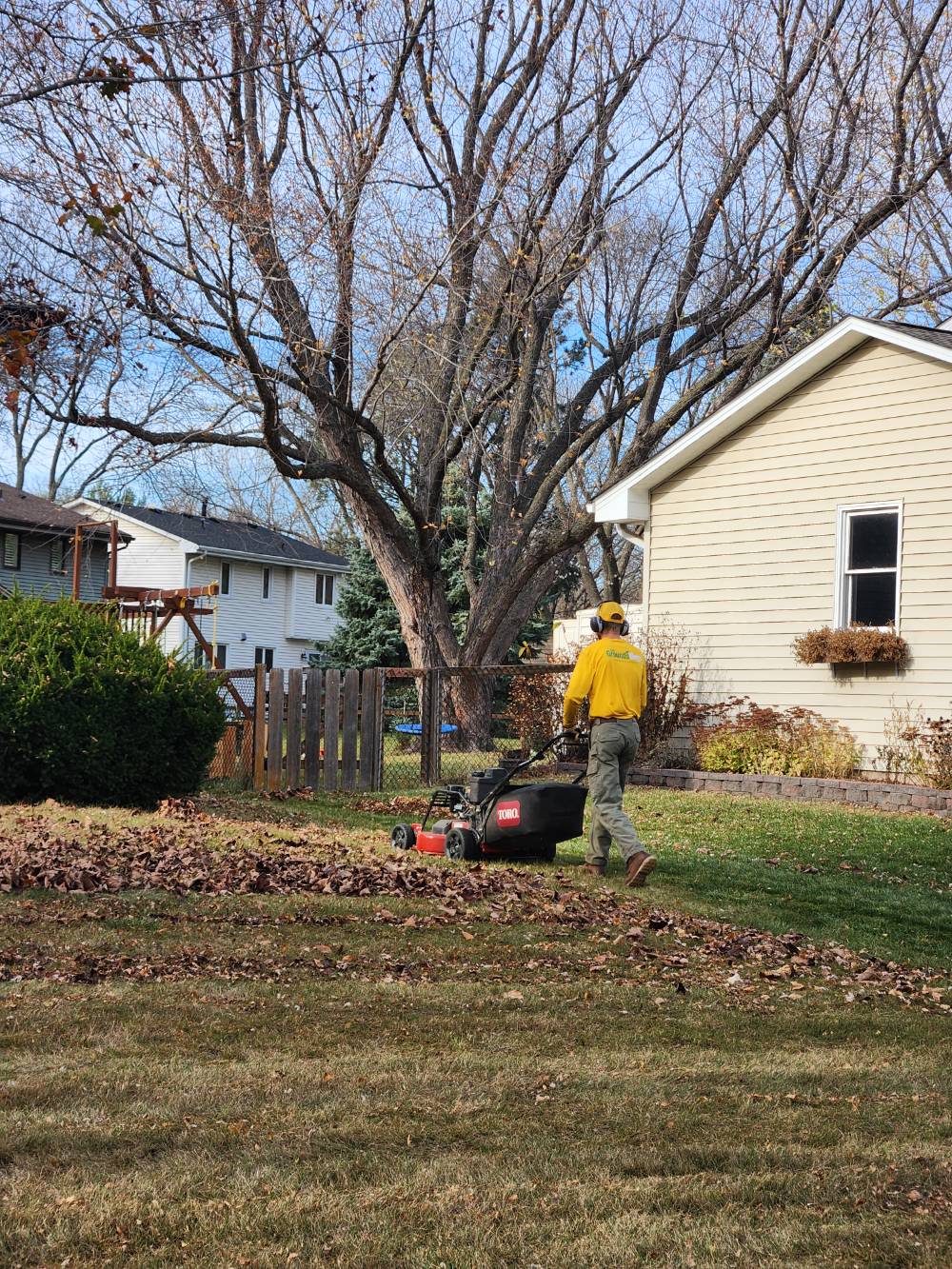 Fall Cleanup Services