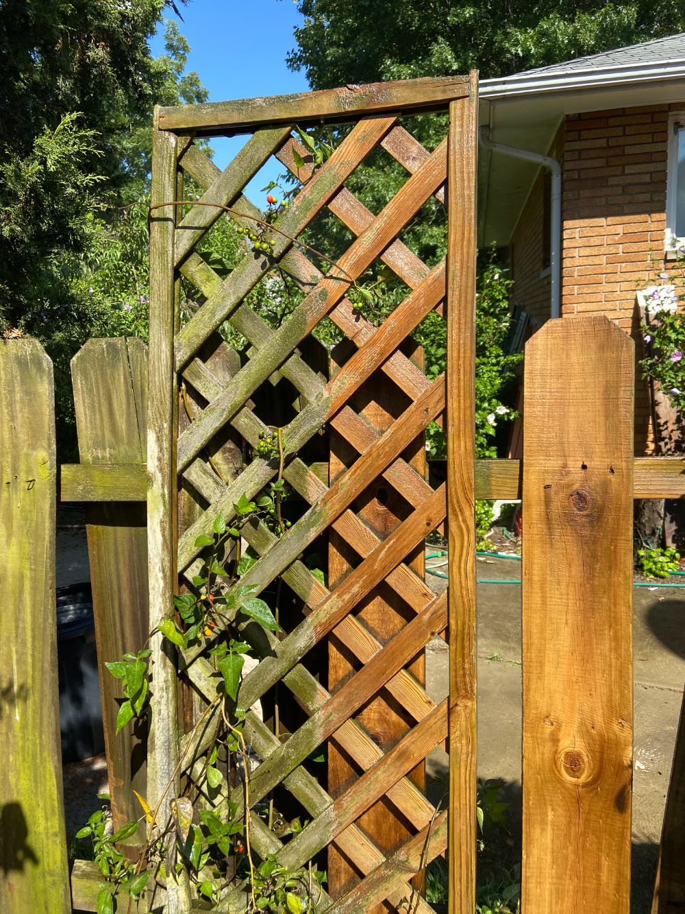 Fence Before and After