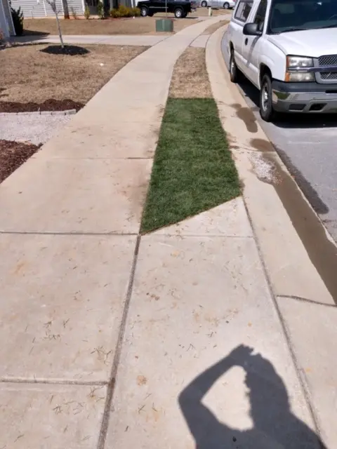 lawn care maintenance 