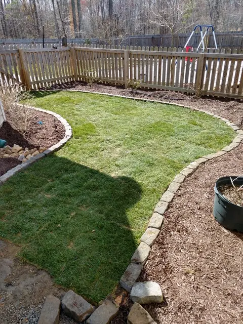 Fescue Sod Instalation