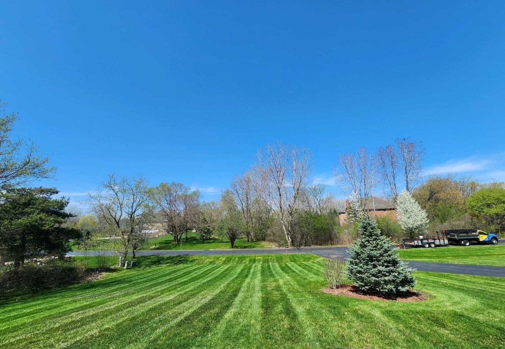 Spring lawn mowing service with healthy green grass, young evergreen tree, and blooming ornamental trees on a residential property in McHenry, IL with a professional landscaping trailer parked nearby