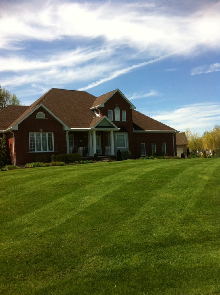 Freshly mowed General lawn