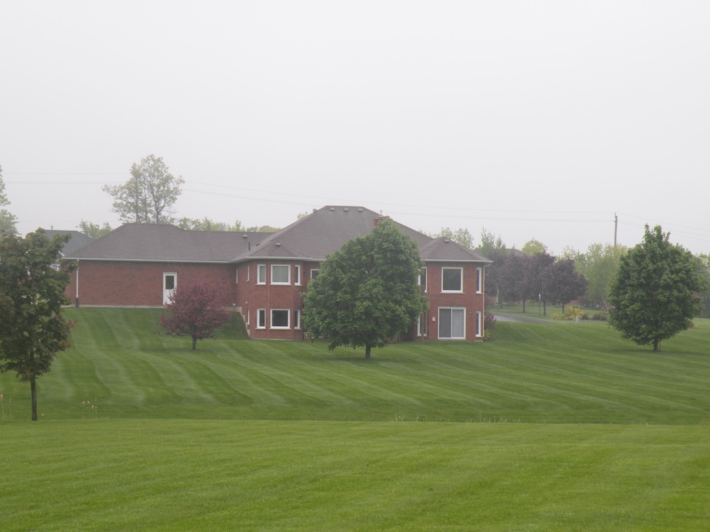 Freshly mowed lawn