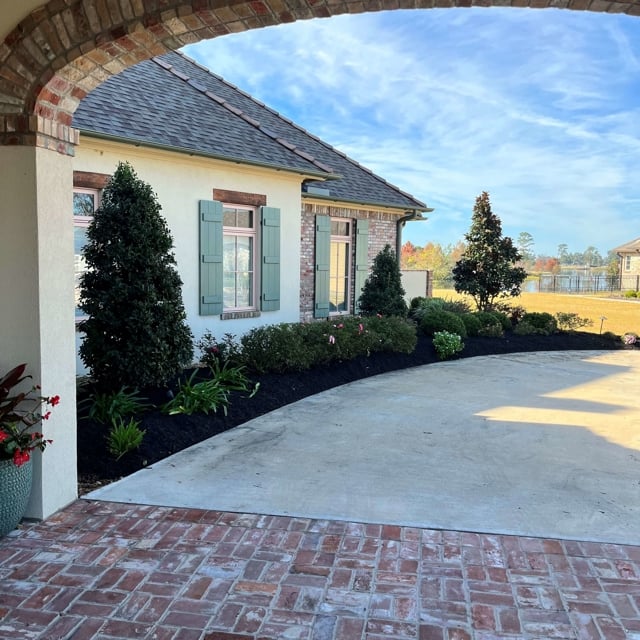 Front yard and driveway