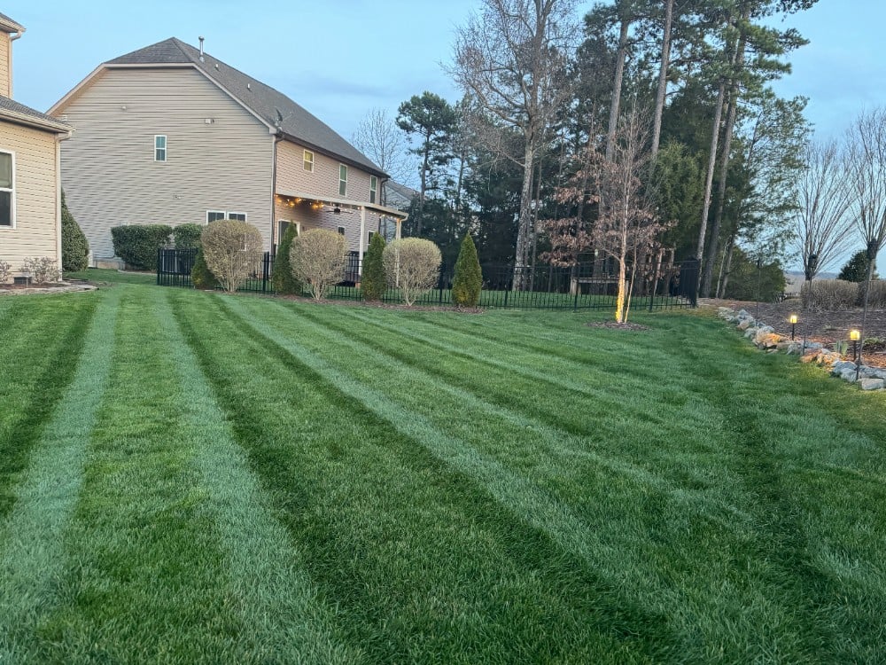 Lush backyard of green grass with additional landscape design and maintenance by the Grounds Guys!