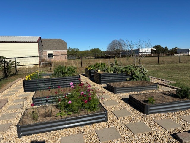 Raised Garden beds