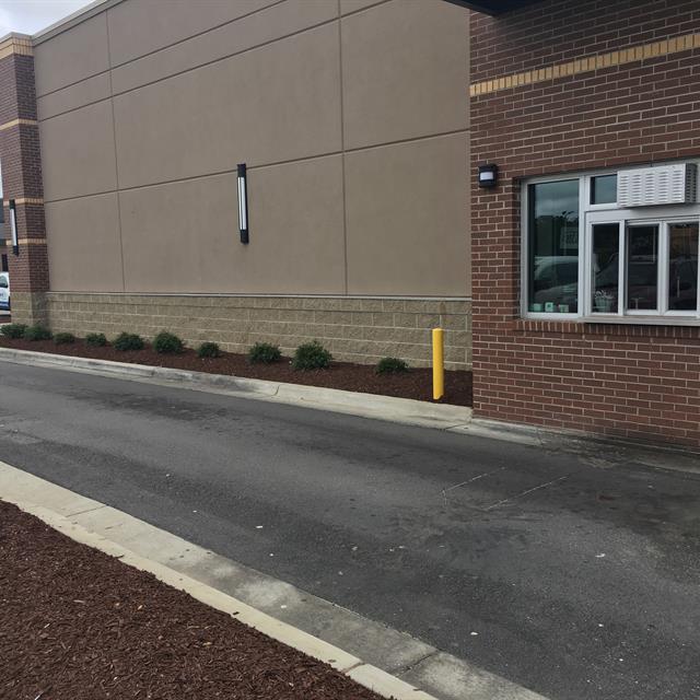 Garden after replanting.