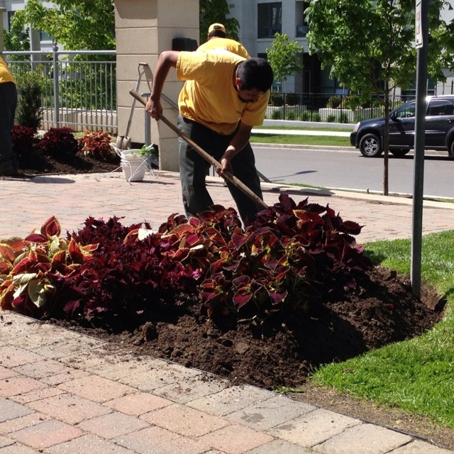Gardening and plantation