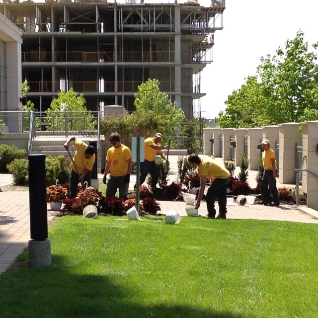 Gardening maintenance