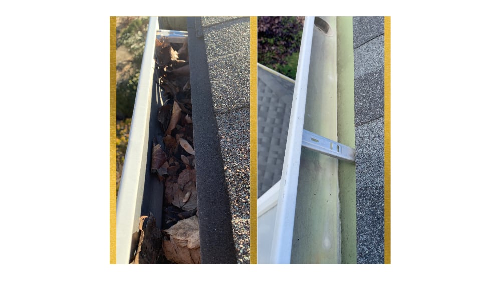 Gutter cleaning, weeds, leaves, dirt, pollen, clog, leak