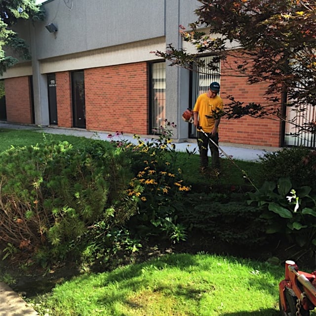 Ground guy on lawn maintenance with machinery.