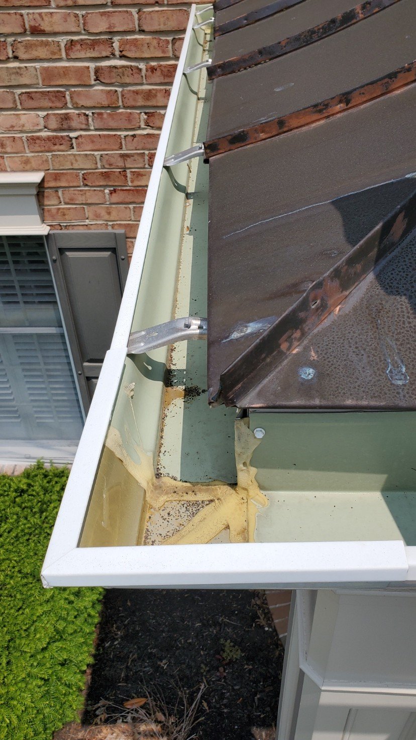 Gutter Clean