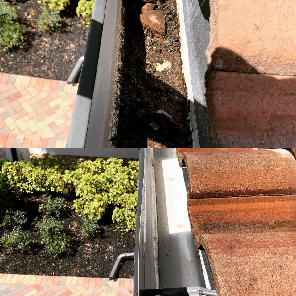 Gutter Clean Out