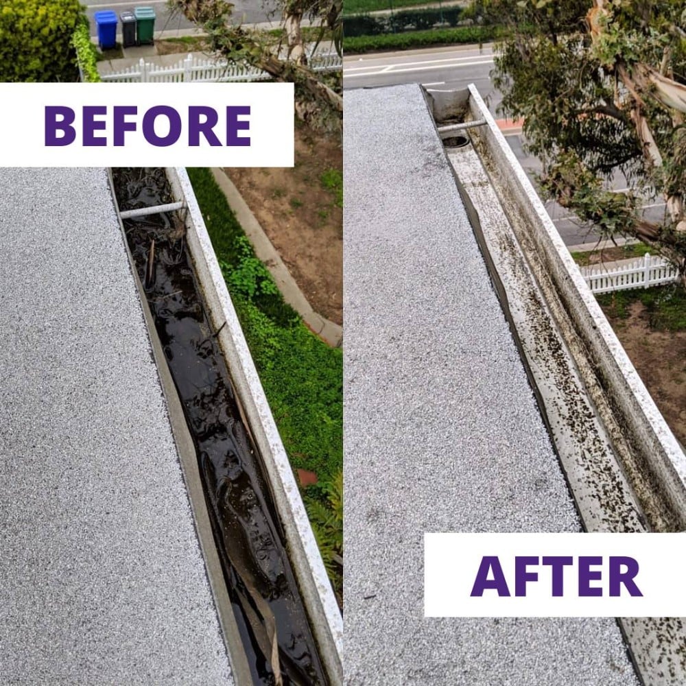 Gutter Cleaning